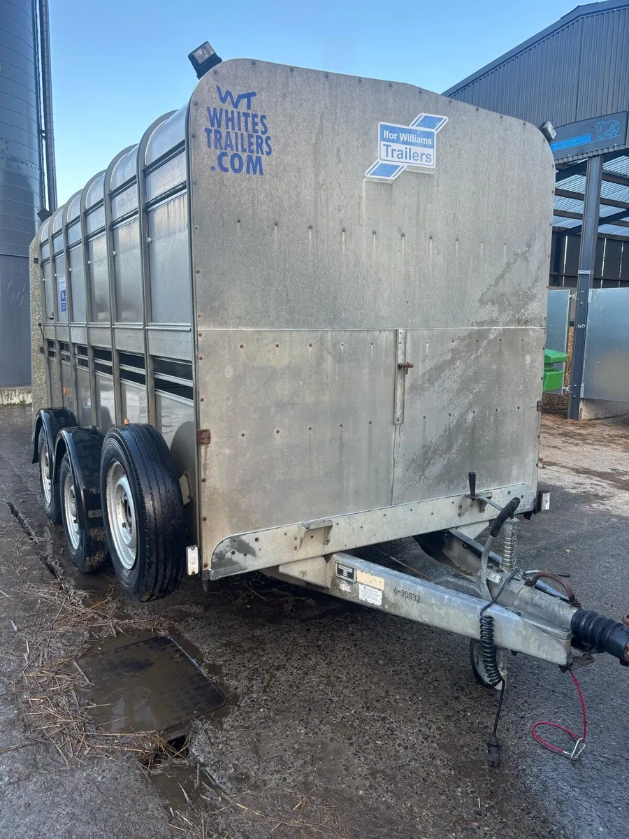 Ifor Williams livestock Trailer - Image 1