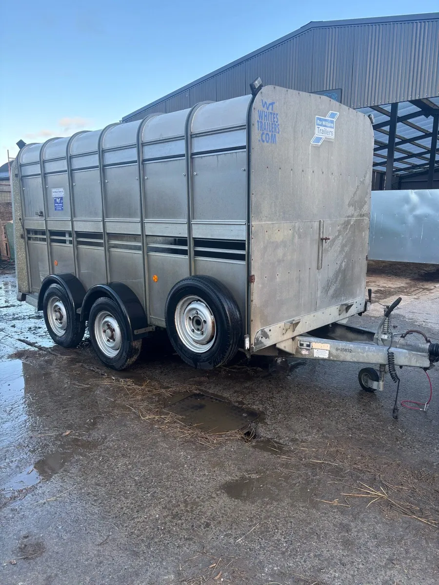 Ifor Williams livestock Trailer - Image 2