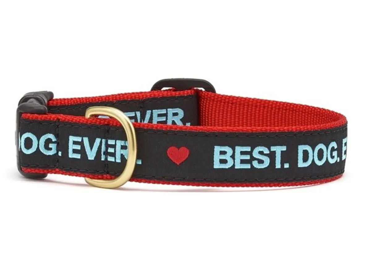 Hand Crafted Luxury "BEST DOG EVER" Collar & Lead - Image 1
