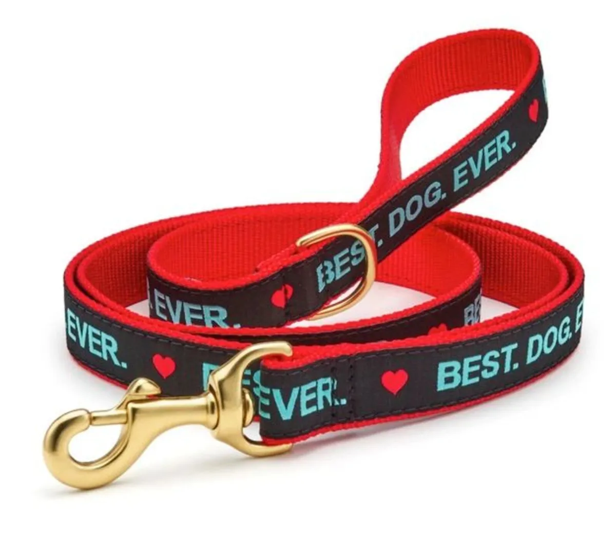 Hand Crafted Luxury "BEST DOG EVER" Collar & Lead - Image 2
