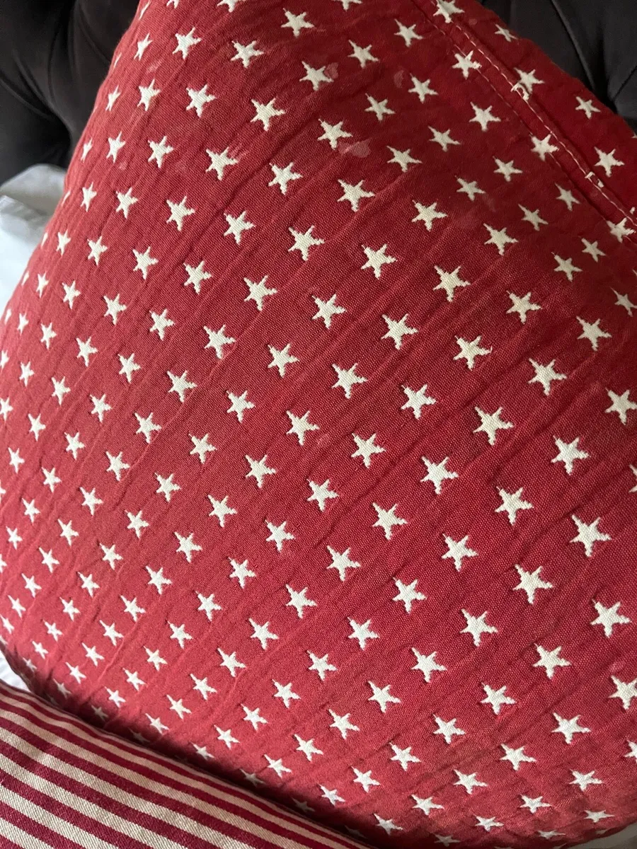 Red Lexington cushions - Image 2