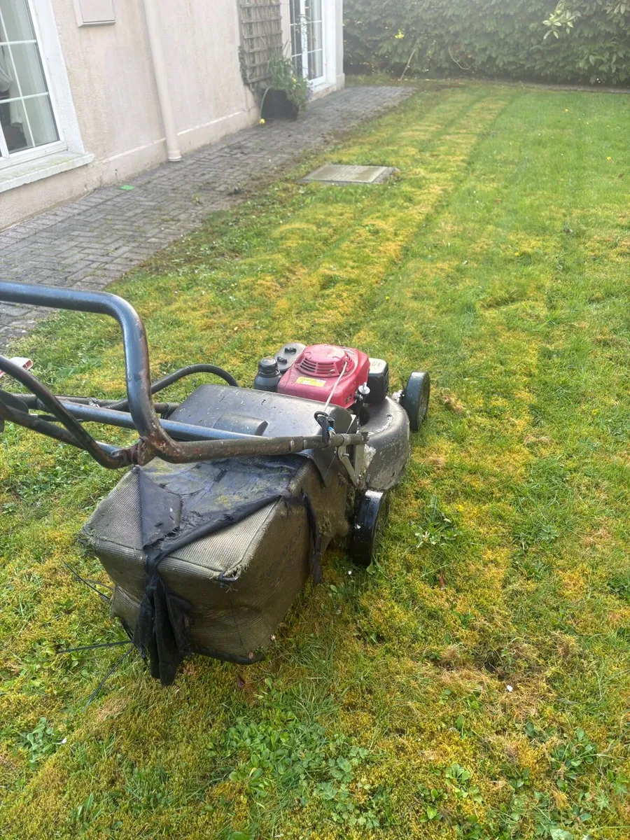 Honda hrh 536 pro - Image 4