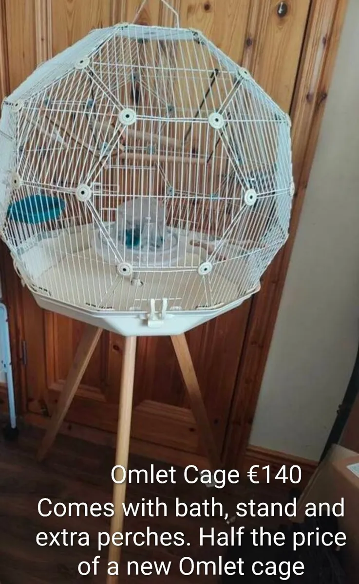 Budgies, cages and hand rearing feeding equipment - Image 3