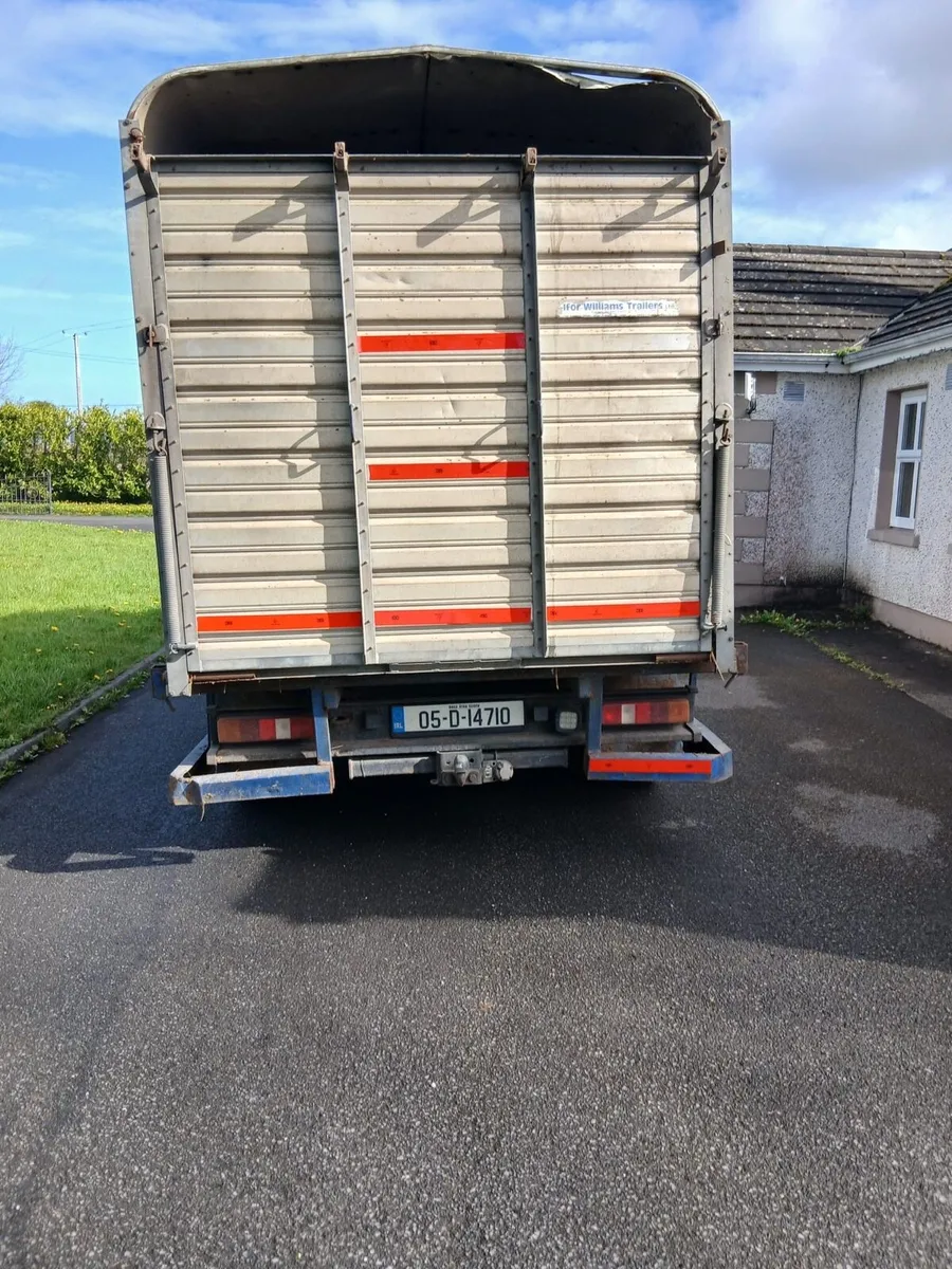 Ford Transit Calf Truck - Image 4