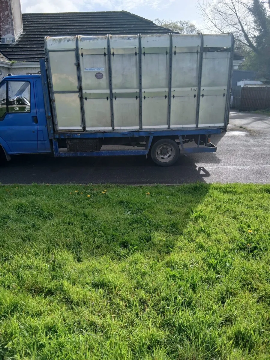 Ford Transit Calf Truck - Image 2