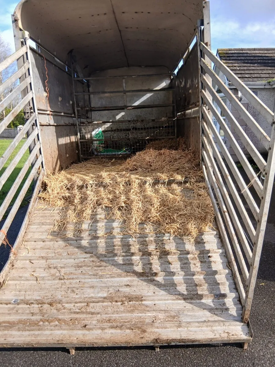 Ford Transit Calf Truck - Image 3