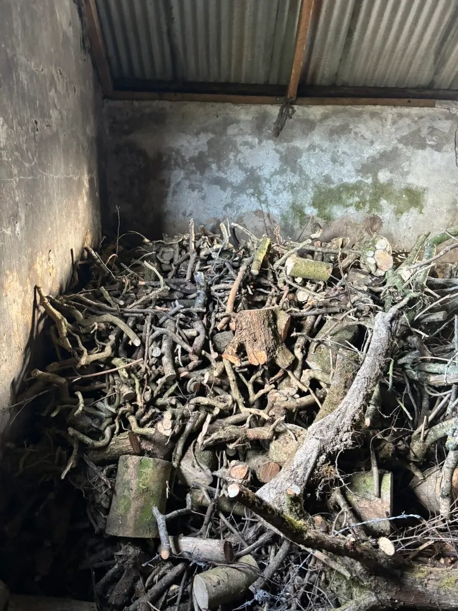 Firewood - Image 2
