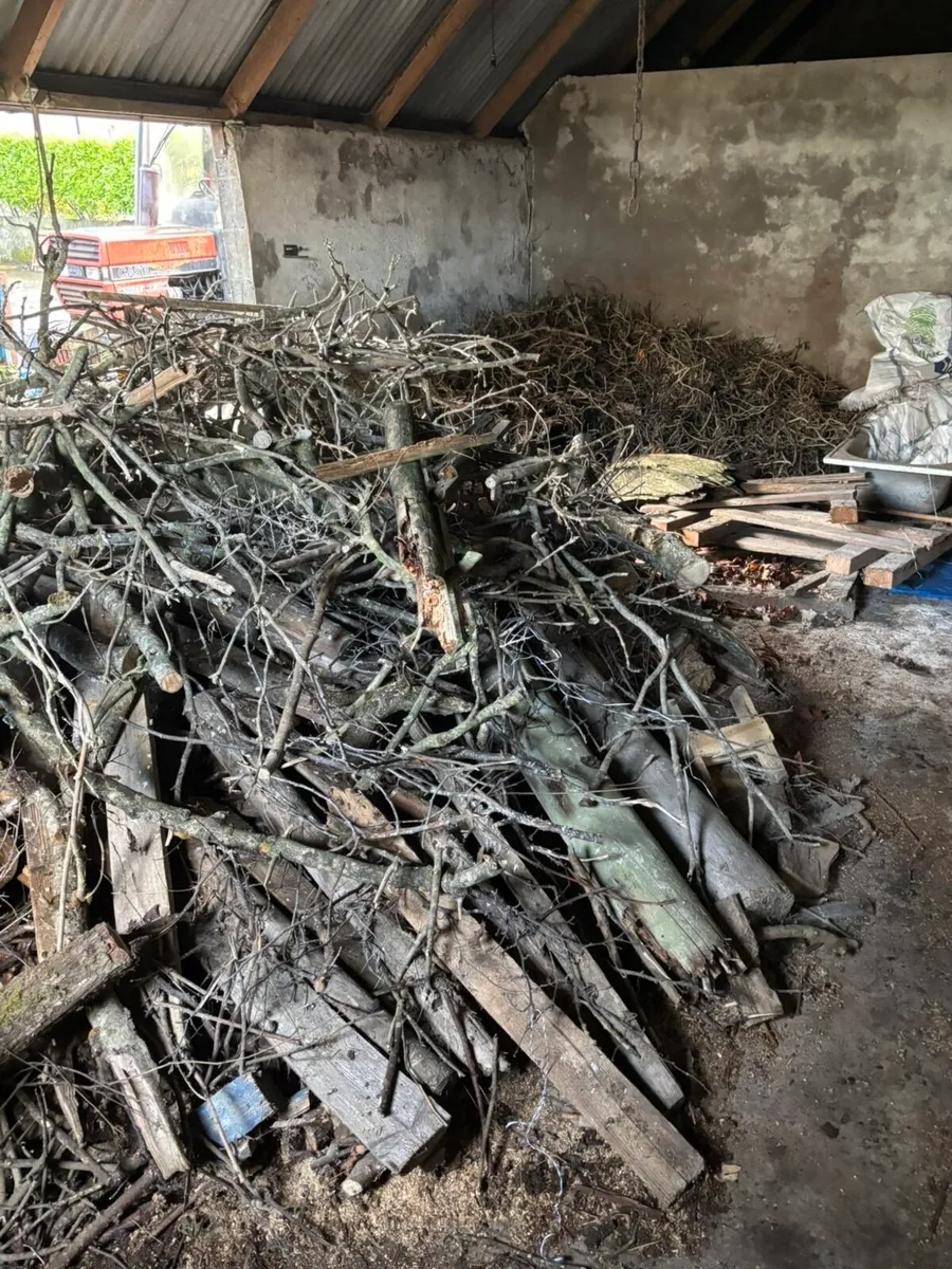 Firewood - Image 1