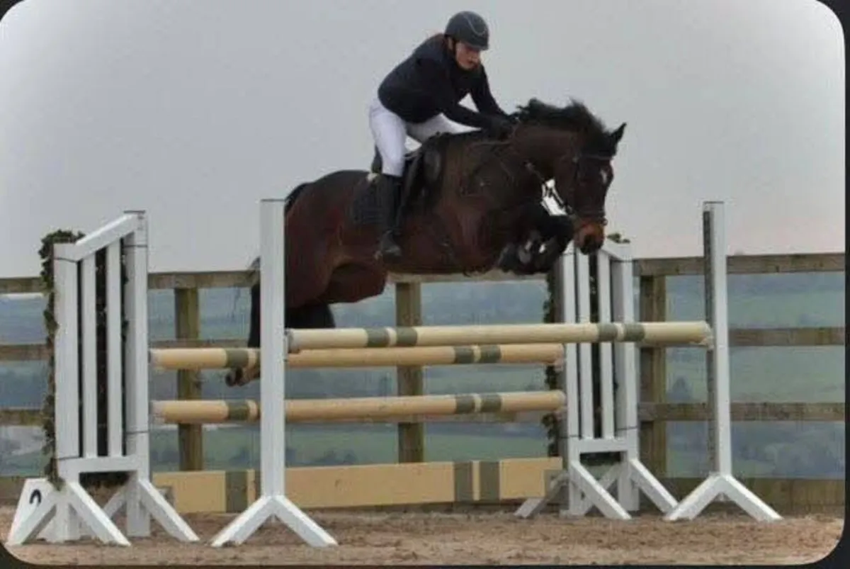 🌟 Competitive 148 SJI Pony 🌟 - Image 3