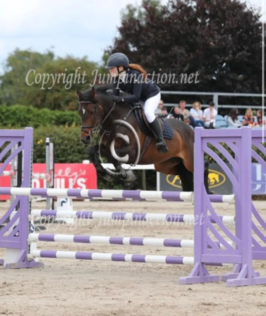 🌟 Competitive 148 SJI Pony 🌟 - Image 1