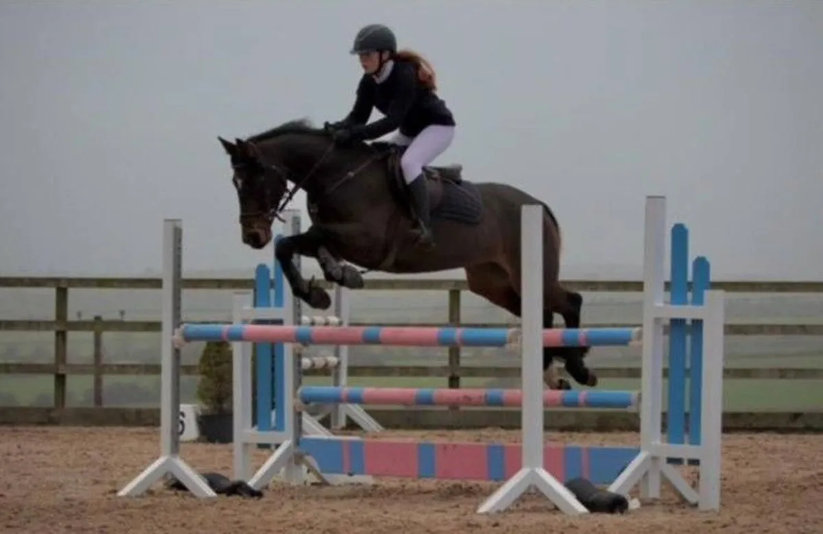 🌟 Competitive 148 SJI Pony 🌟 - Image 4
