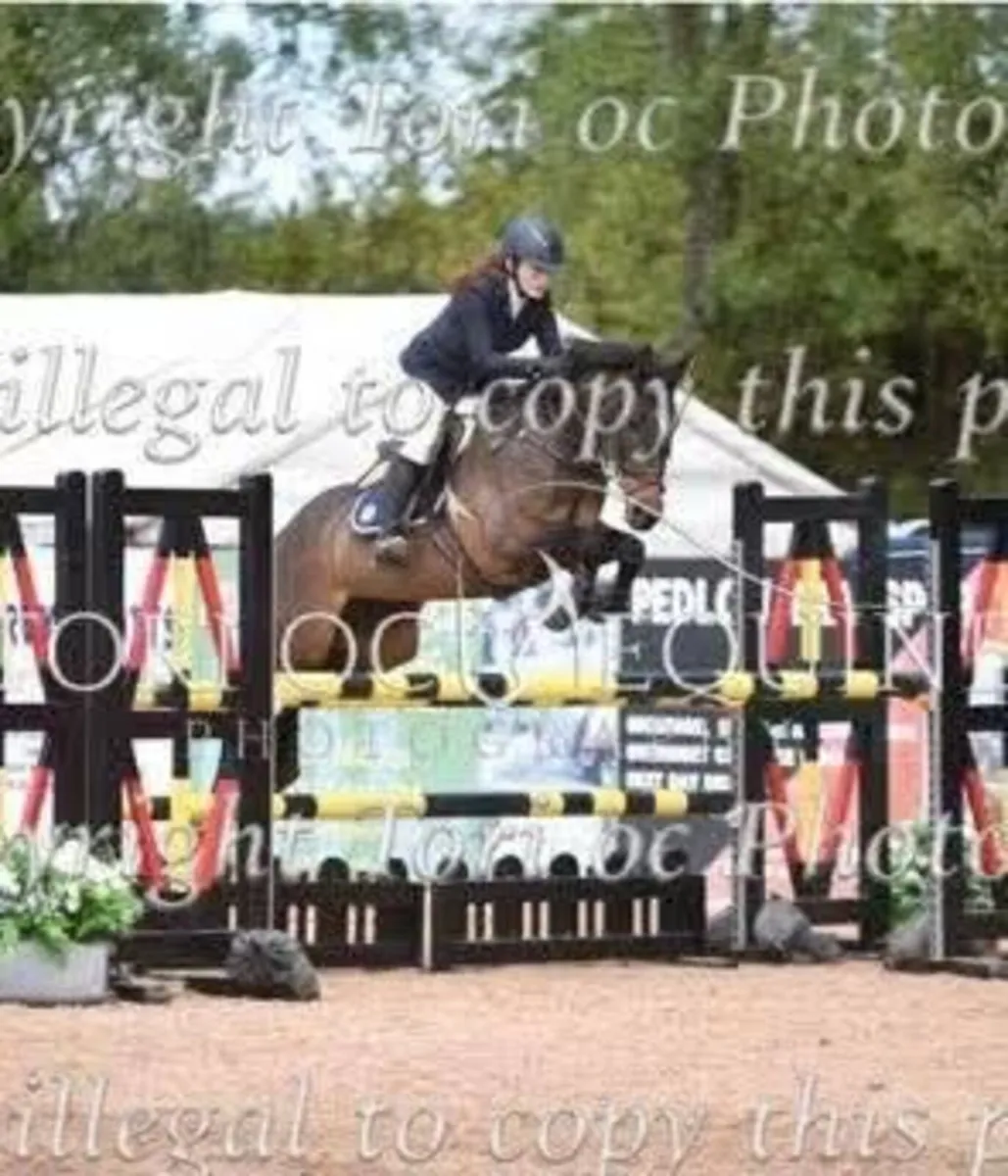 🌟 Competitive 148 SJI Pony 🌟 - Image 4