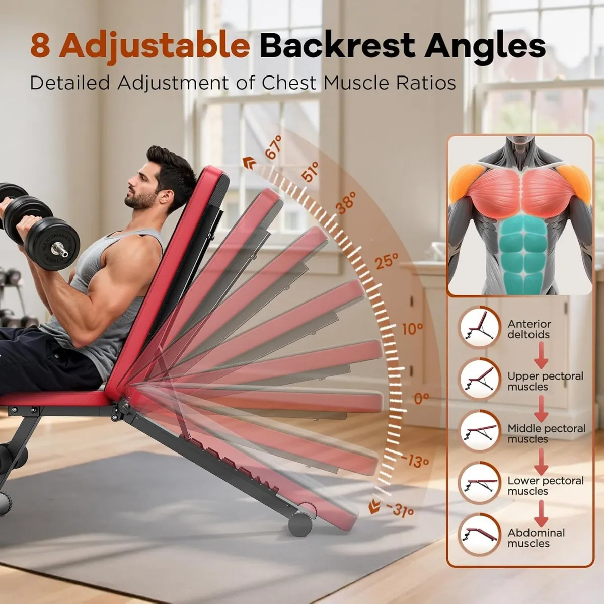 Basic Weight Bench for Home Gym 8 Backrests - Image 3