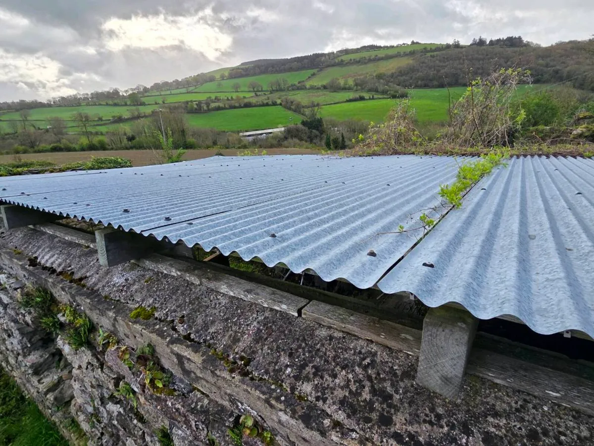 Roof Corrugated sheeting and purlins - Image 1
