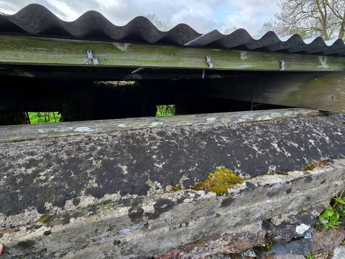 Roof Corrugated sheeting and purlins - Image 2
