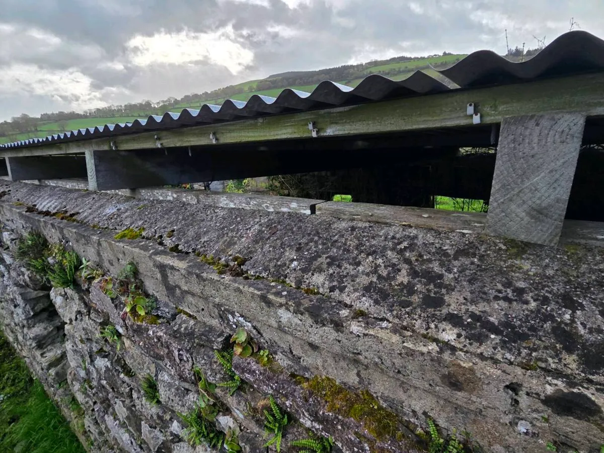 Roof Corrugated sheeting and purlins - Image 3