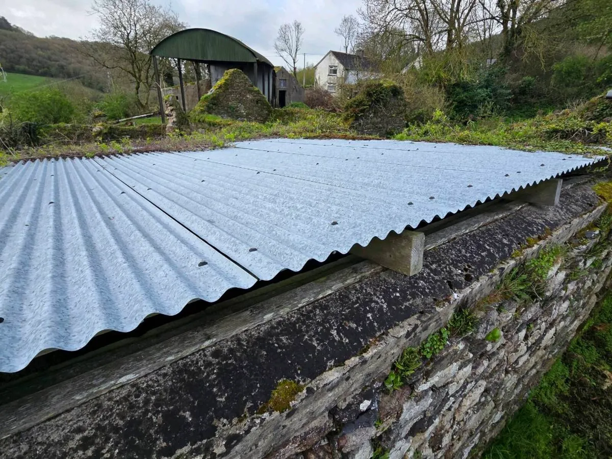 Roof Corrugated sheeting and purlins - Image 4