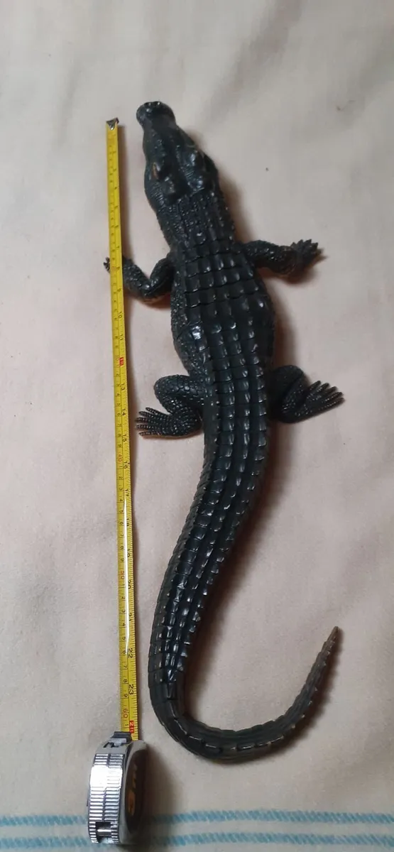Crocodile large toy