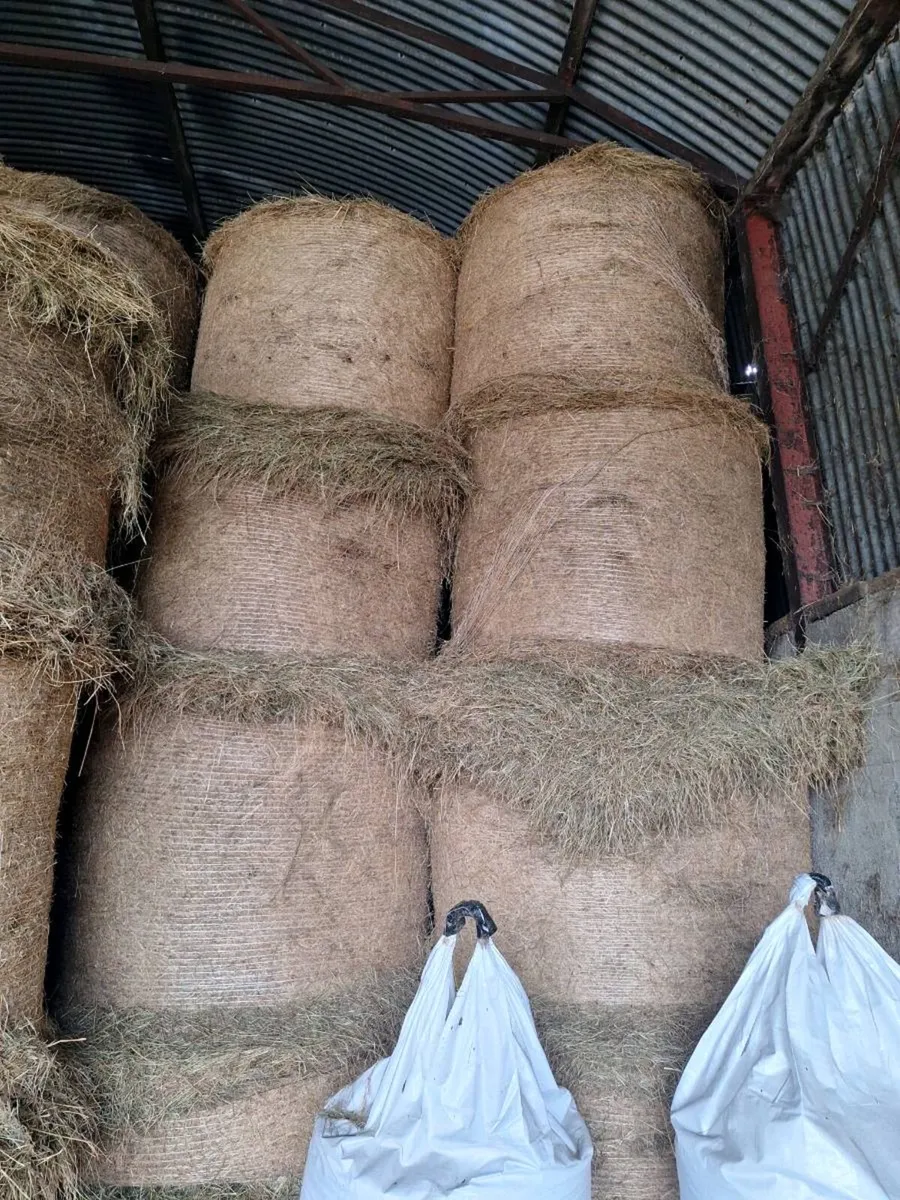 Callow Hay - Image 1