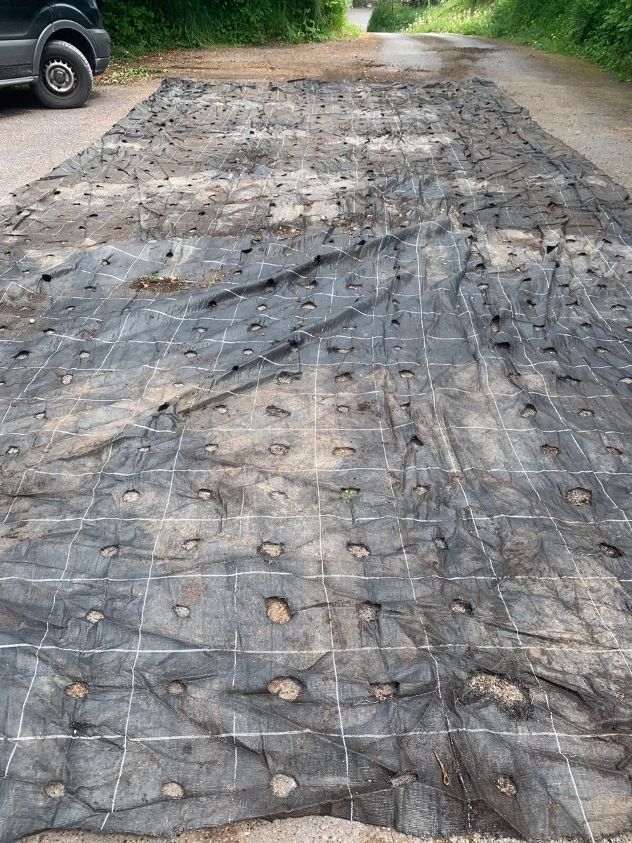 Ground cover - Mypex sheeting - Image 1