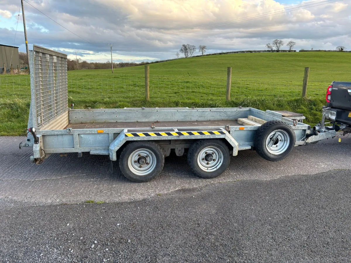 12x6 Nugent - Image 2