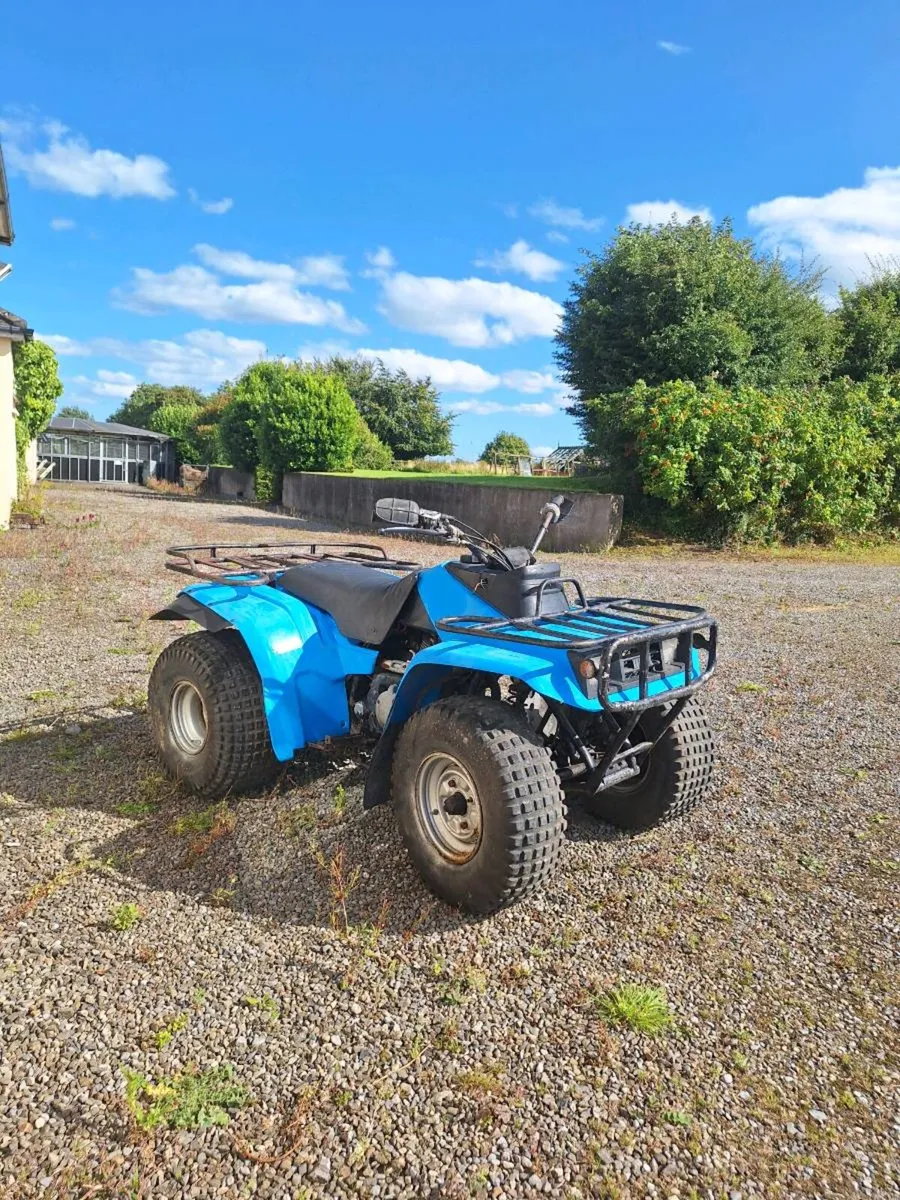 Yamaha moto 4 350 - Image 1