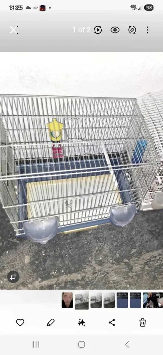 Bird cages