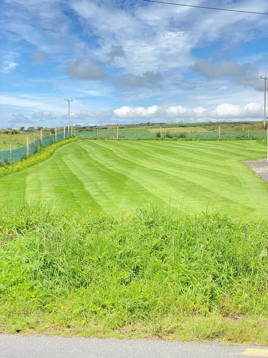 Dormak Professional Mower - Image 3