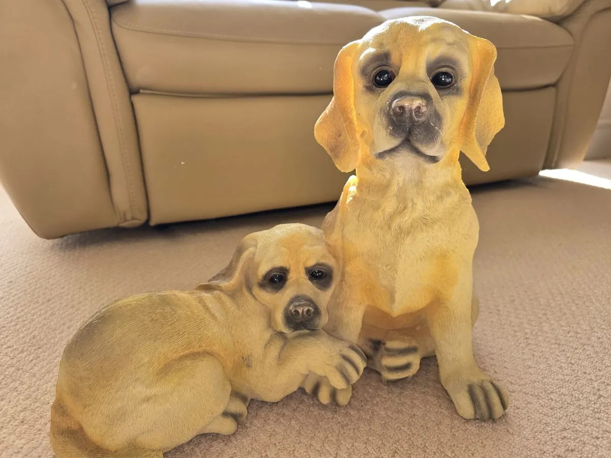 Decorative Labrador Puppies - Image 1