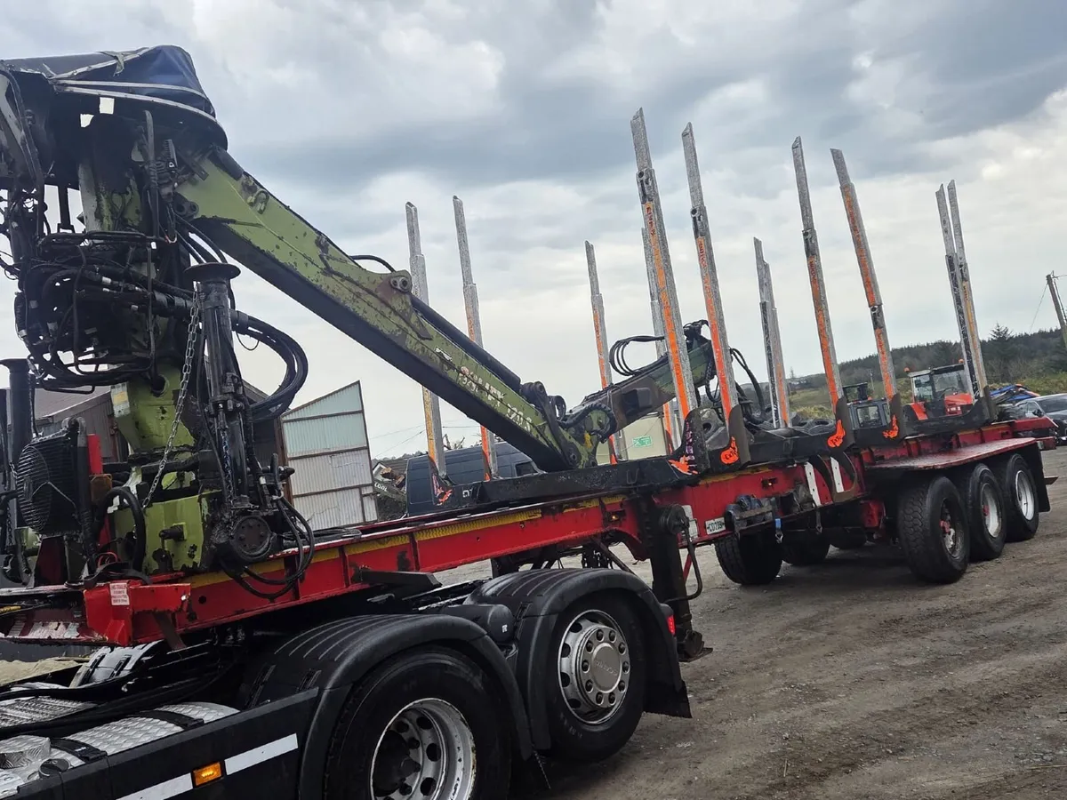 Dennison Skelly timber trailer - Image 2