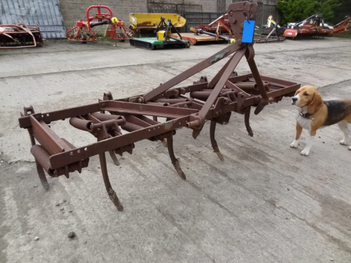 Springtine Grubber - Image 1