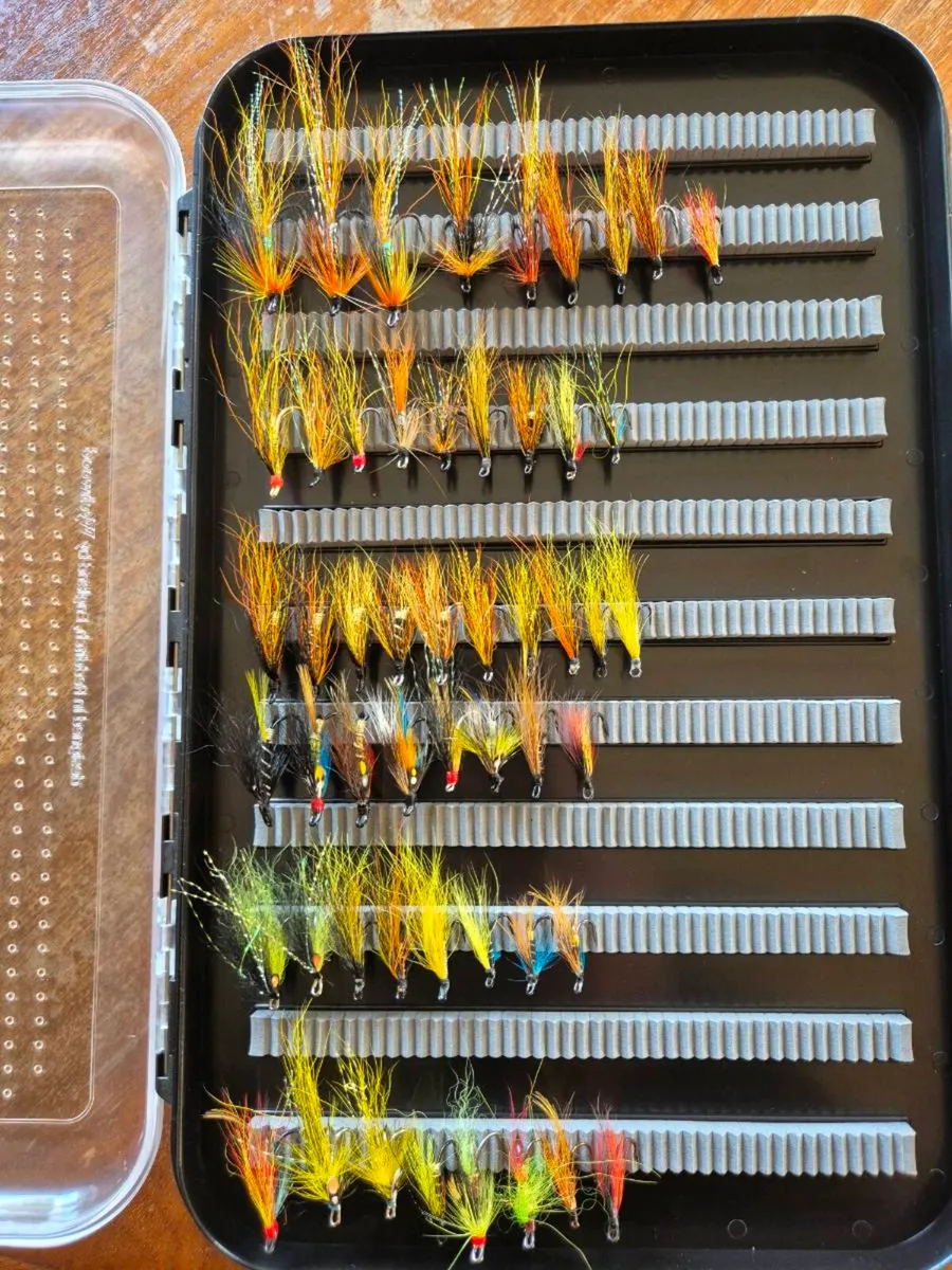 Salmon flies - Image 1
