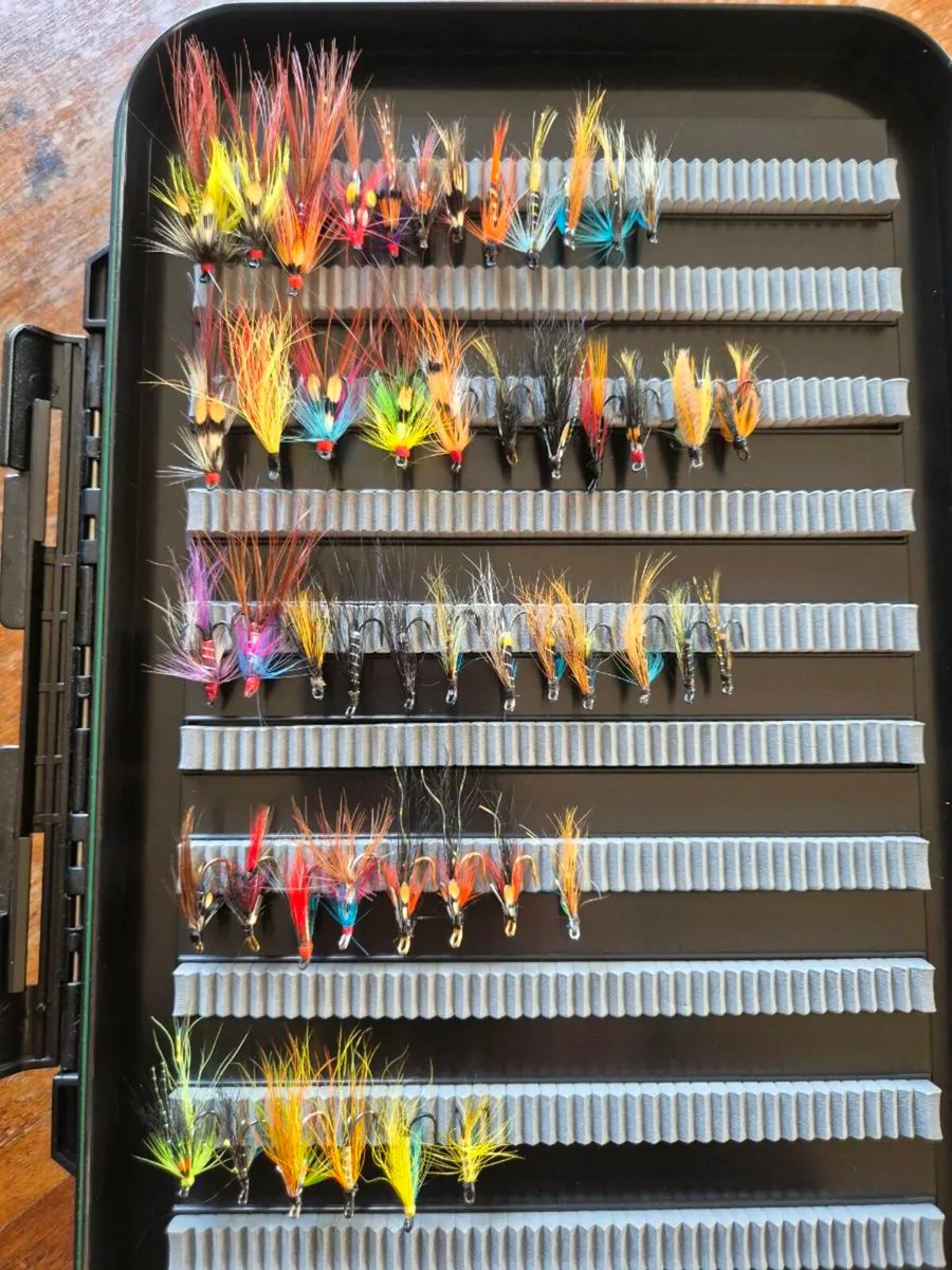 Salmon flies - Image 2