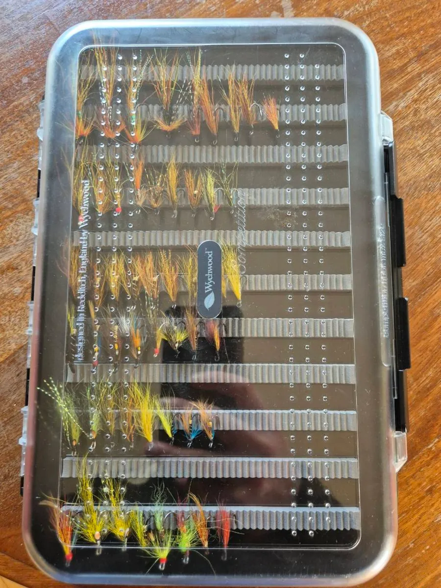 Salmon flies - Image 3