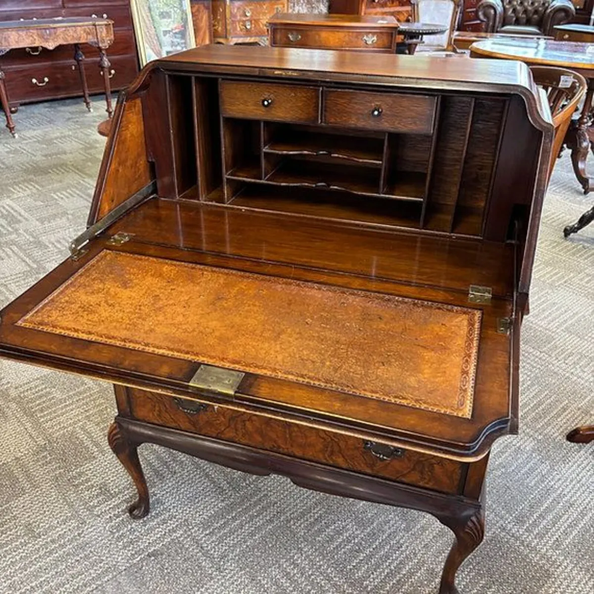 Fabulous walnut burr writing bureau with a tan lea