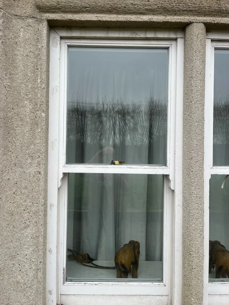 Sash windows - Image 2