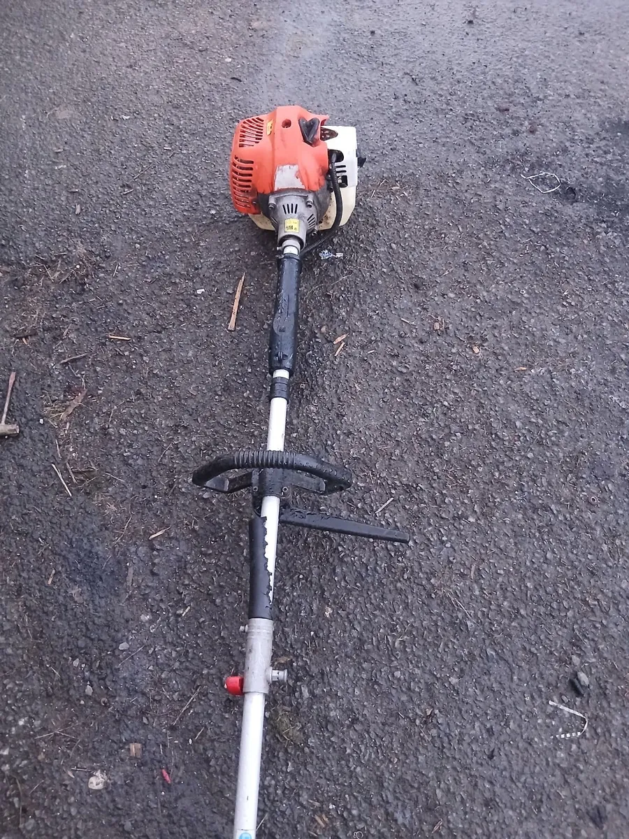 Hedge strummers running very well priced - Image 4