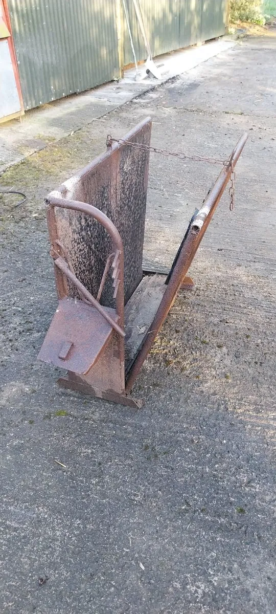 Calf crush - Image 2