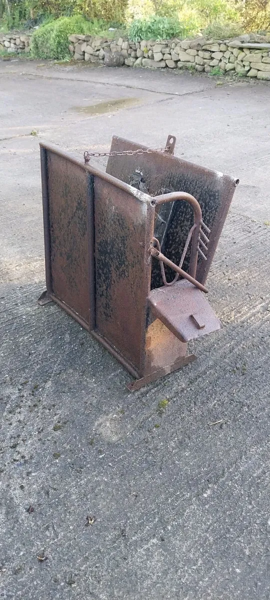 Calf crush - Image 3