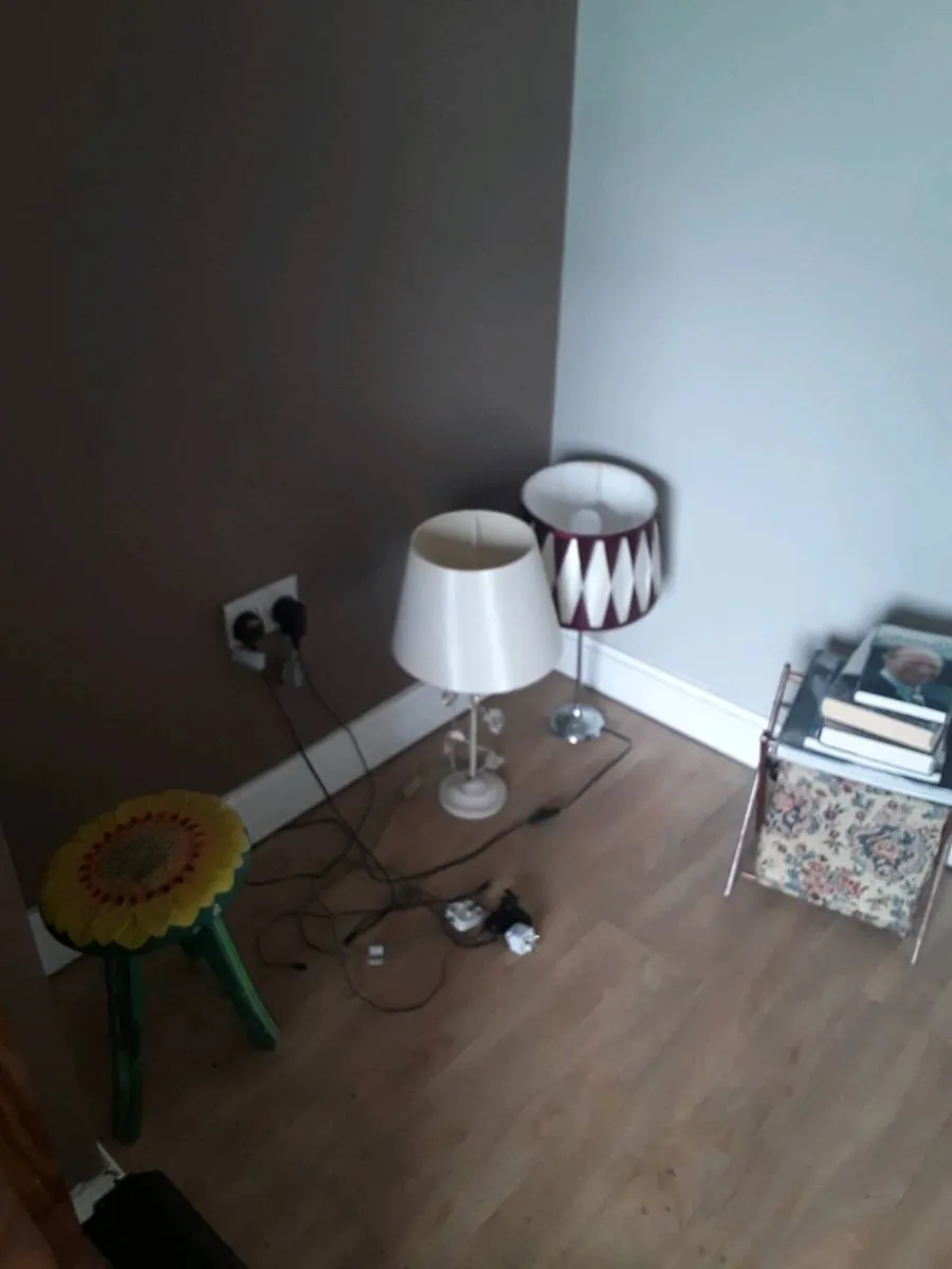 Lamps choice of 6  5 euro each - Image 2