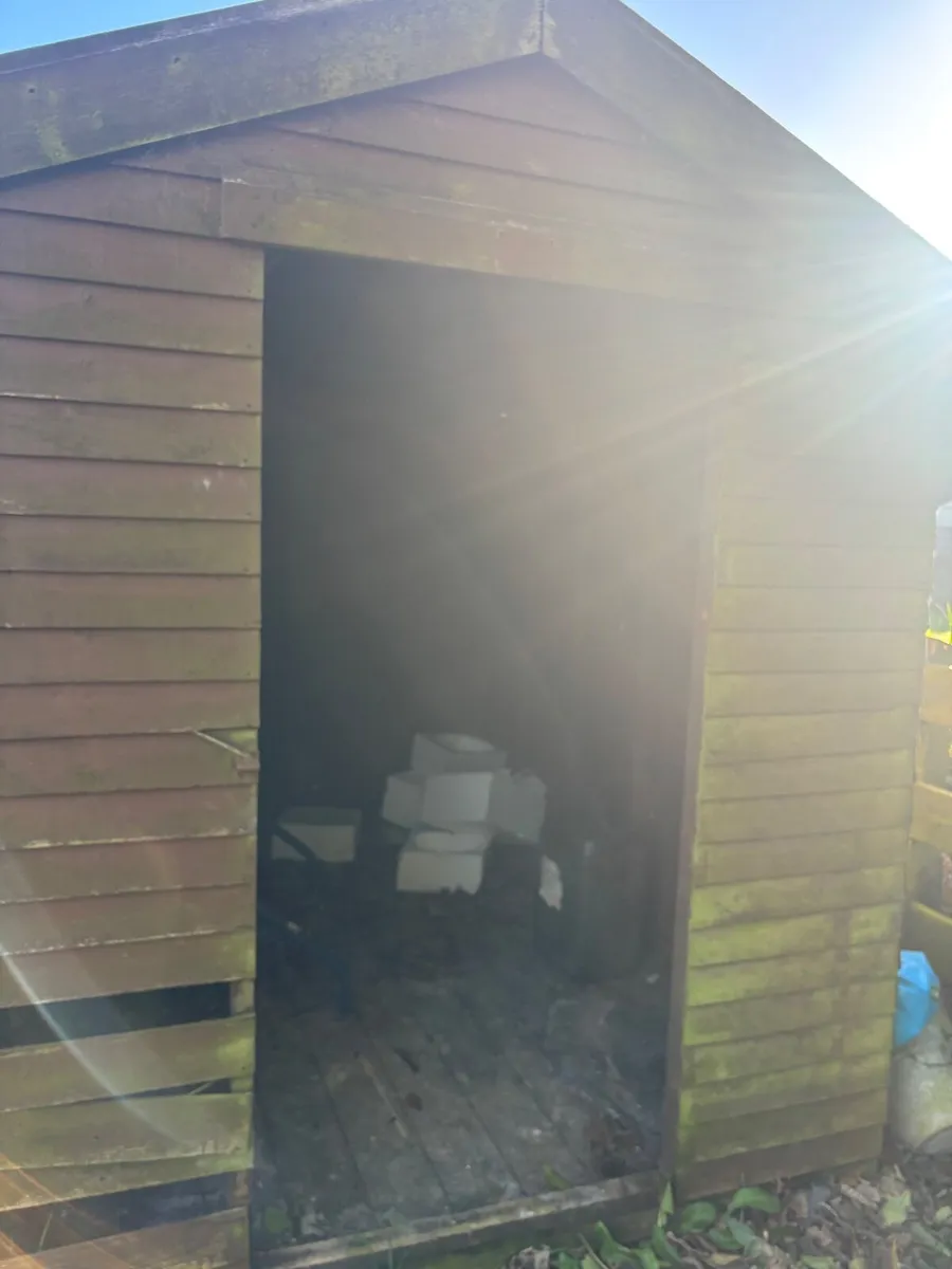 Shed - Image 2