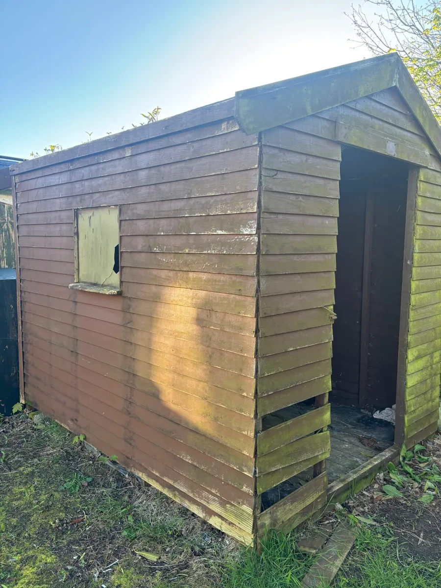Shed - Image 3