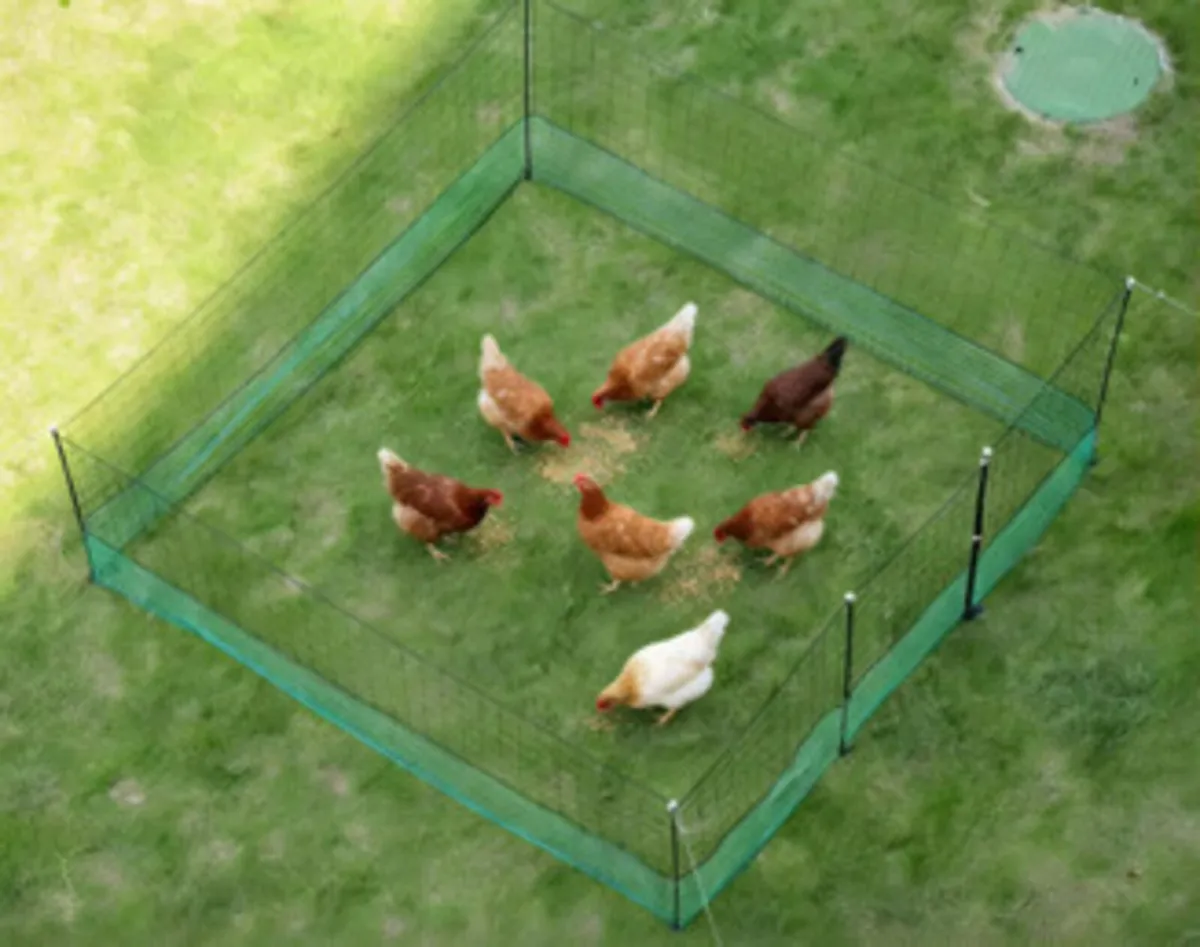 Customised Electric Poultry Fencing-Fox/Mink Proof - Image 1