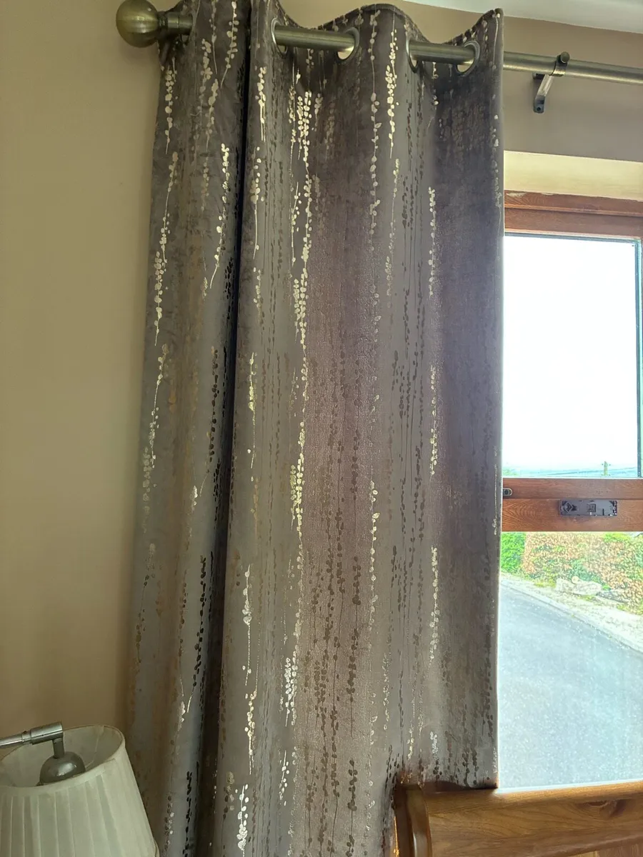 Champagne & Gold Velvet Curtains - Image 4