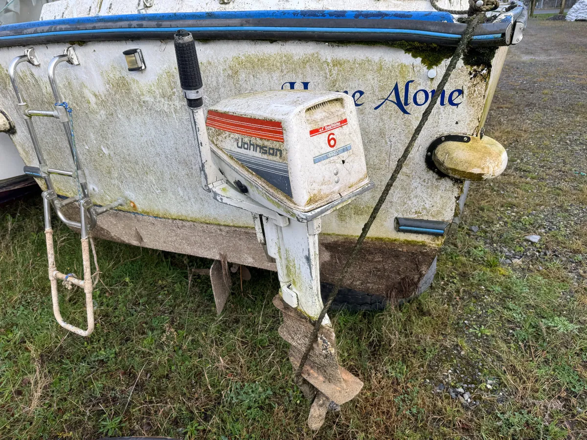 UNRESERVED ELYSIAN CRUISER FOR AUCTION - Image 3