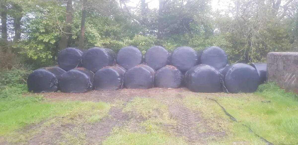 Certified organic silage bales