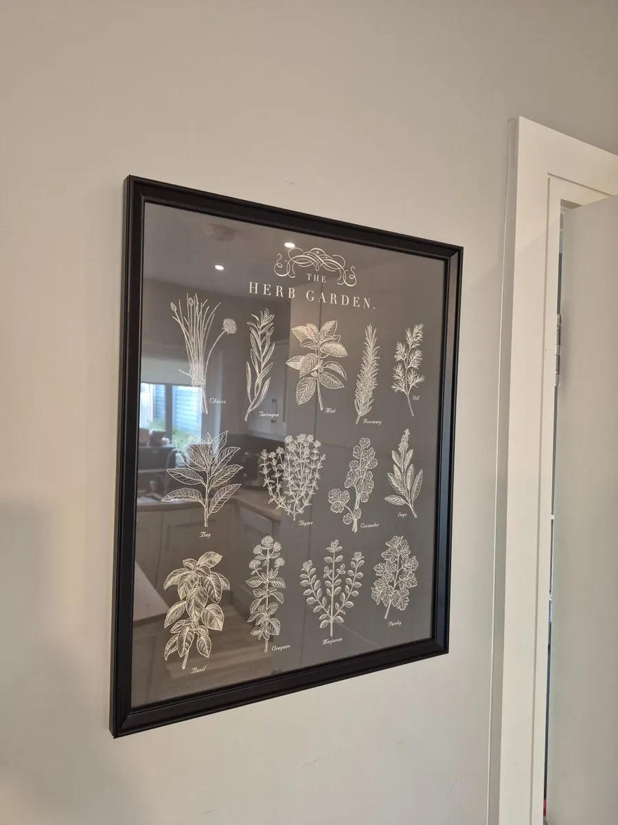 Framed Photos Collection - Image 4