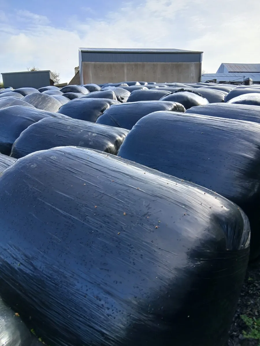 Silage Bales