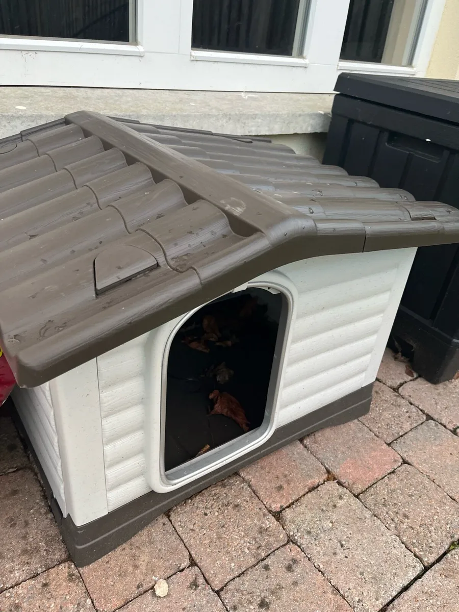 Dog Kennel