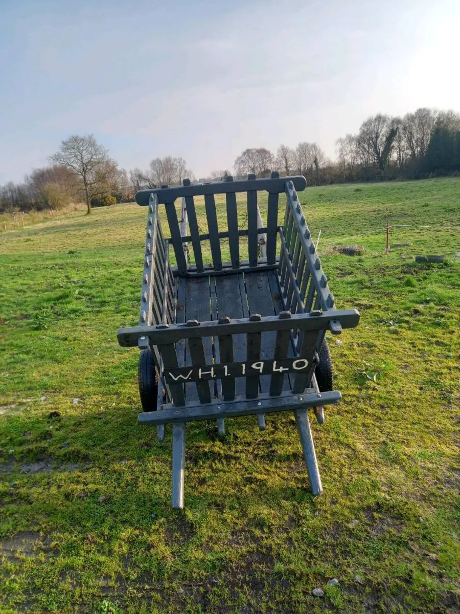Donkey Cart & Harness - Image 2